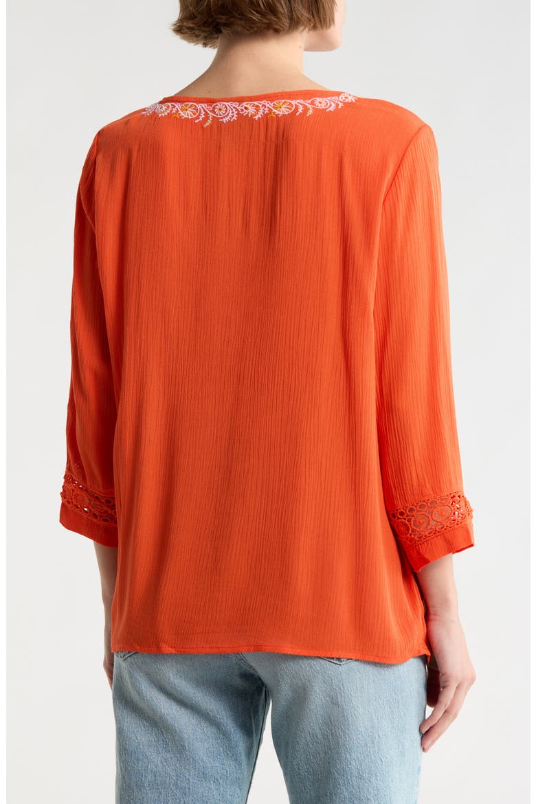 Embroidered V-Neck Top, Alternate, color, CORAL/ TIGERLILY