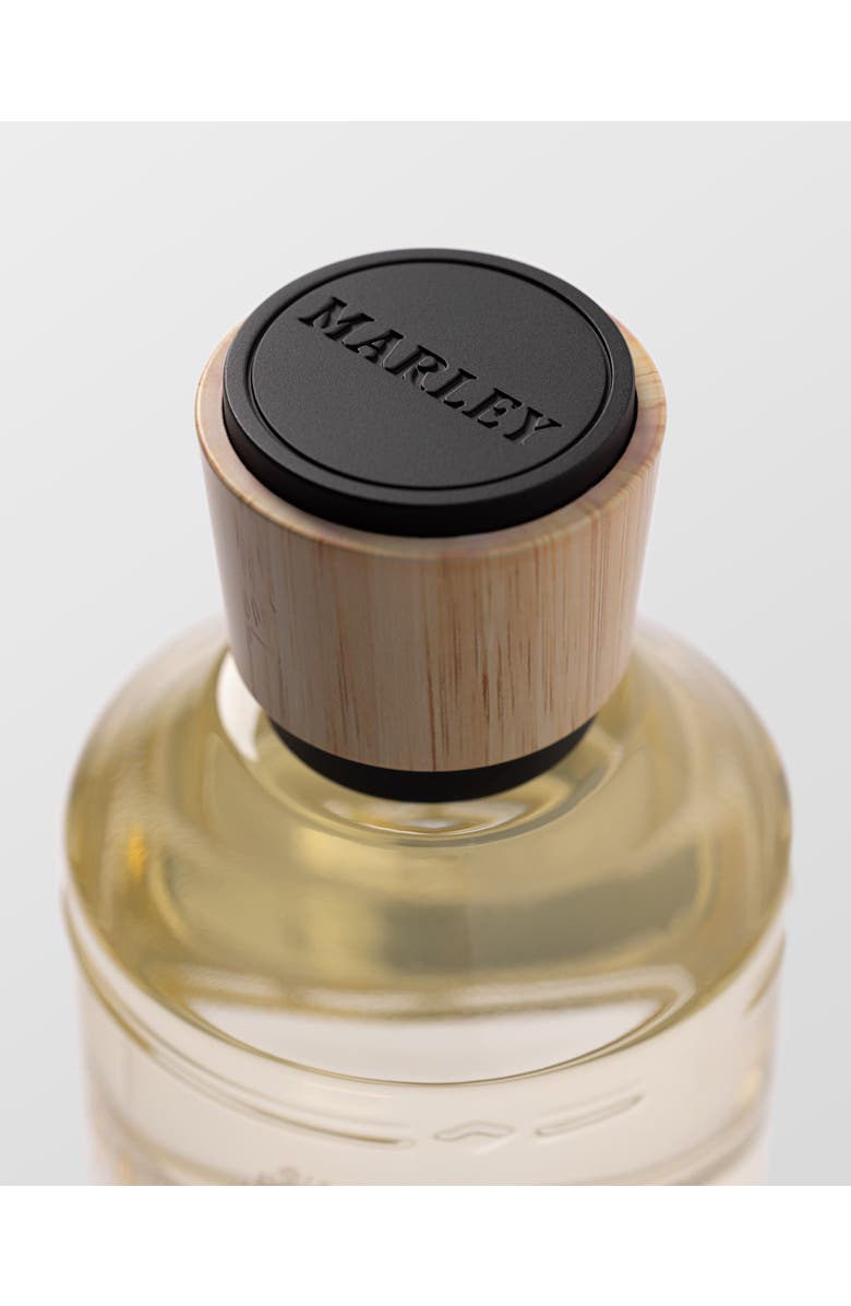 Marley Fragrance Soul Rebel Eau de Parfum, Alternate, color, 100Ml