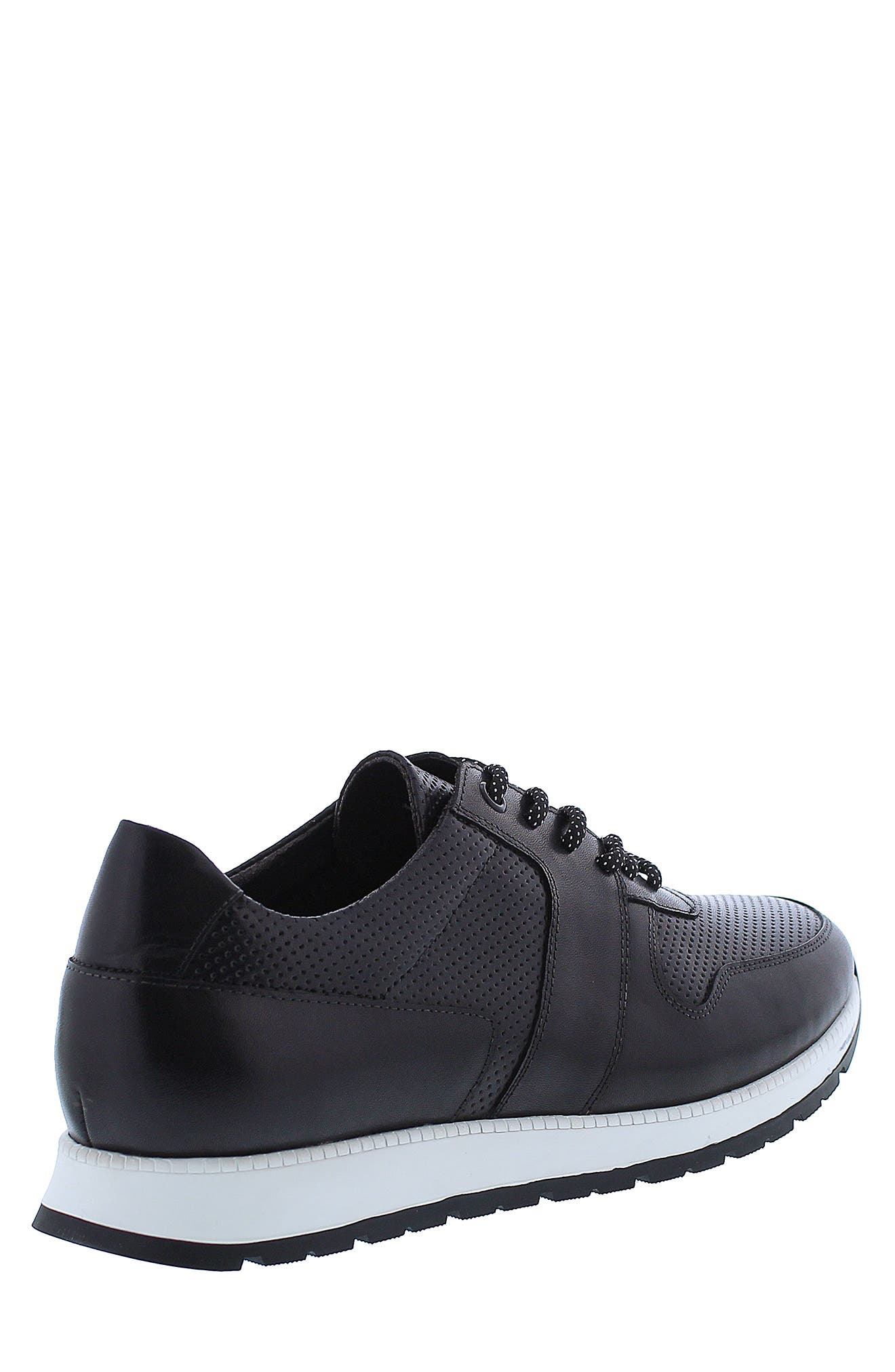 Zanzara Whitley Leather Perforated Sneaker, Alternate, color, 