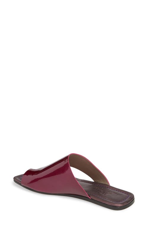 Agl Attilio Giusti Leombruni Asymmetrical Toe Thong Sandal In Pink