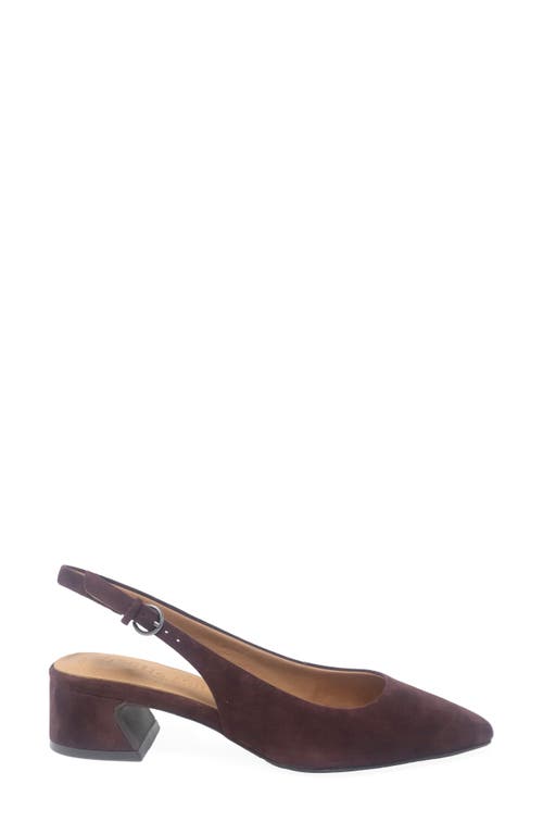 Gentle Souls Georgia Slingback Pointed Toe Pump In Burgundy
