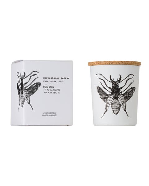Insect Candle In Jar 2.65 Ounce