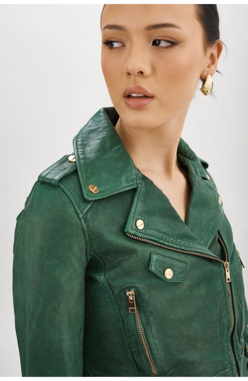 Lamarque Ciara | Cropped Leather Biker Jacket In Green