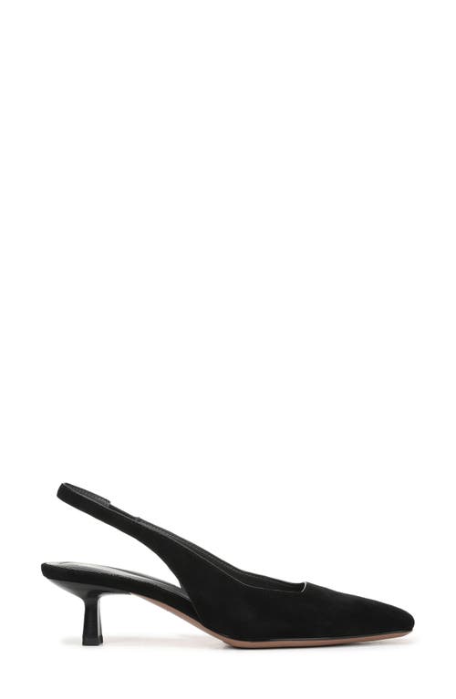 Sarto By Franco Sarto Raven Slingback Kitten Heel Pump In Black