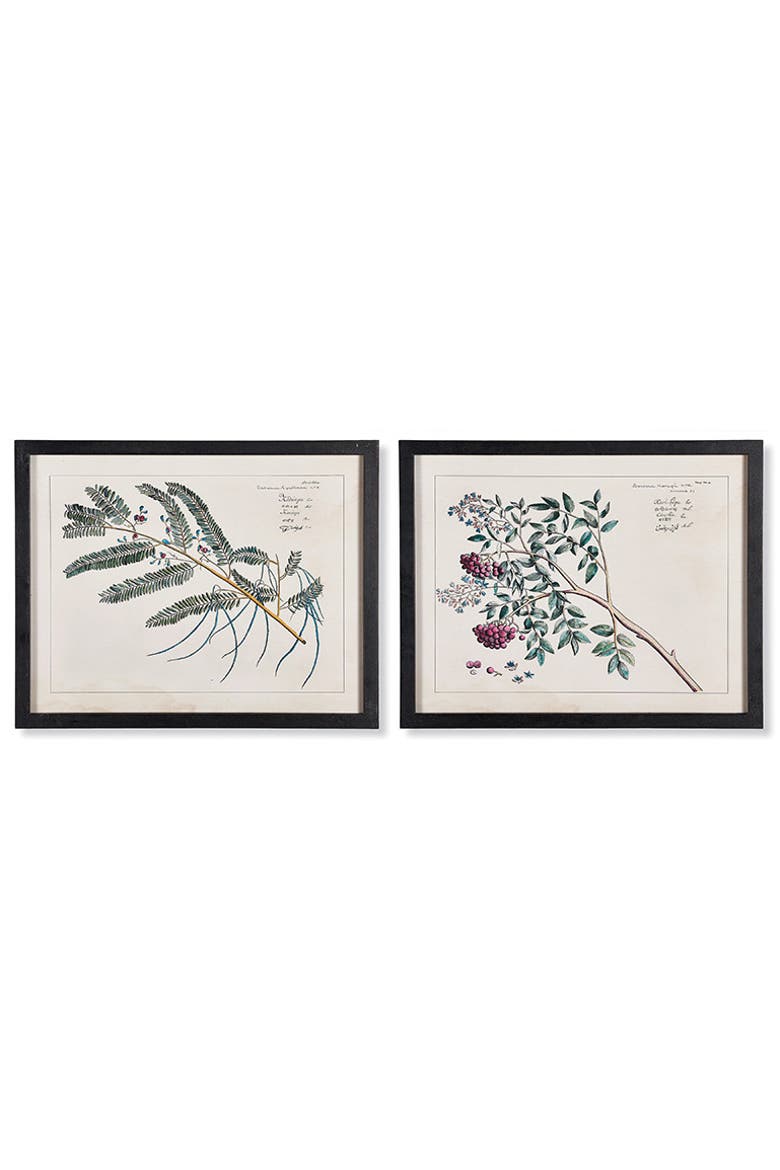 Berry Branch Botanical Study, Set Of 6, Alternate, color, Blue