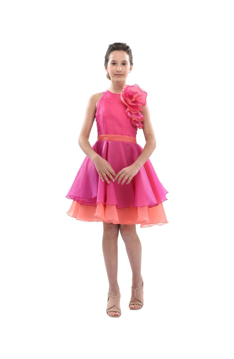 Tulleen Estancia Dress, Alternate, color, Fuchsia