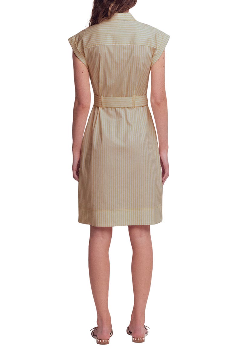 Short Belted Shirt Dress, Alternate, color, STRIPE