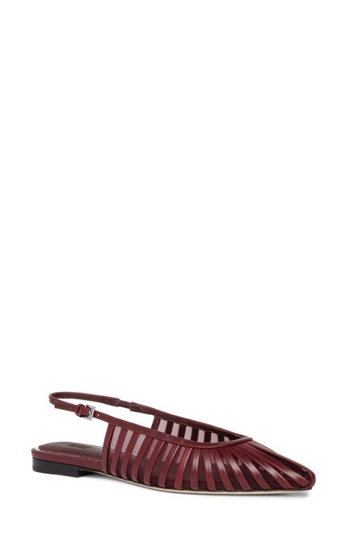 Paige Tera Pointed Toe Slingback Flat In Brown