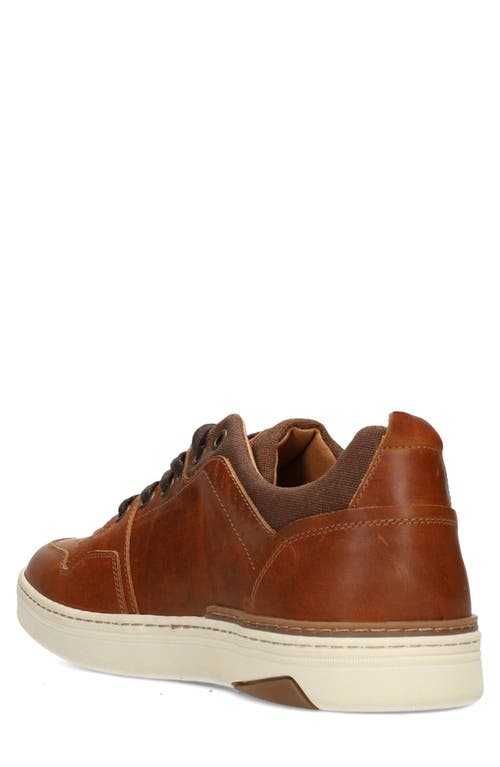 Liverpool La Launch Sneaker In Cognac