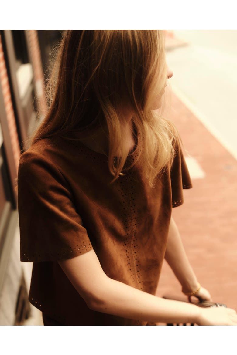 Chloe Genuine Suede Top, Alternate, color, Chestnut