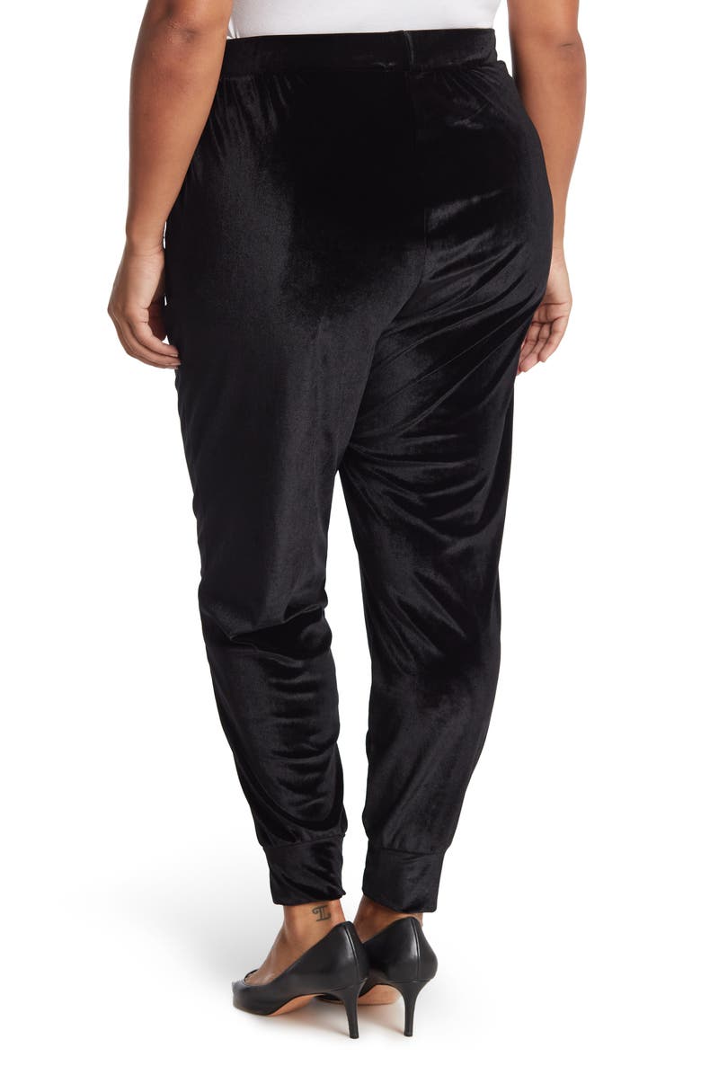 Curvy Sense Velvet Jogger, Alternate, color, 