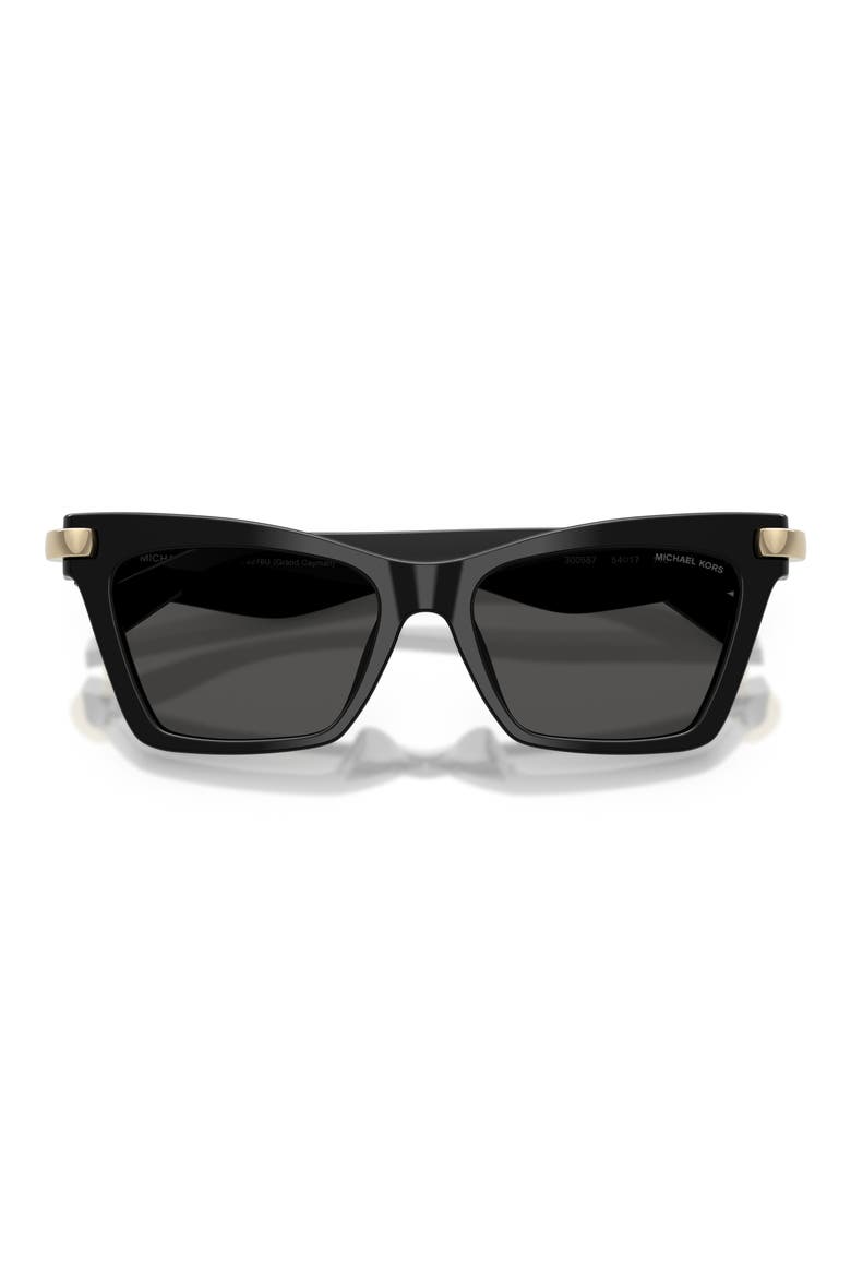 Grand Cayman 54mm Cat Eye Sunglasses, Alternate, color, BLACK / GREY MONO