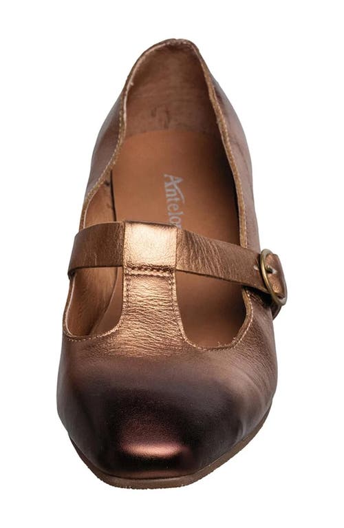 Antelope Chloe T-strap Pump In Brown