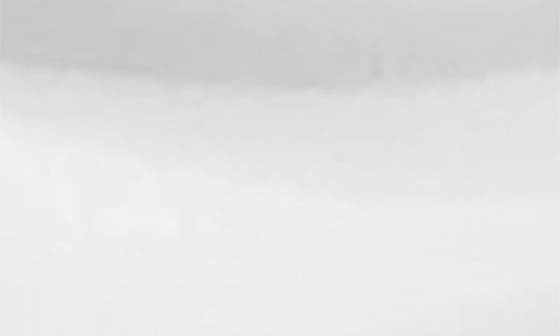 selected WHITE