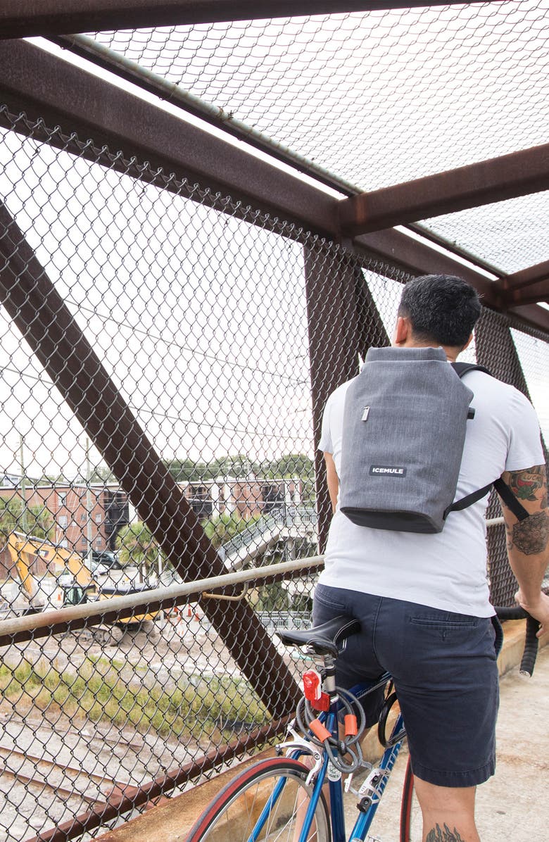 ICEMULE Coolers Jaunt 9L Backpack Cooler, Alternate, color,