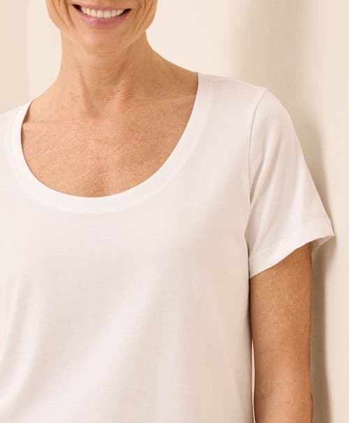 Pact Organic Cotton Softspun Scoop Neck Tee In White