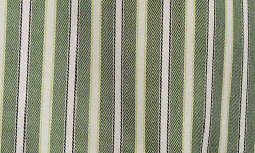 Foxcroft Agnes Stripe Three-quarter Sleeve Popover Top In Green