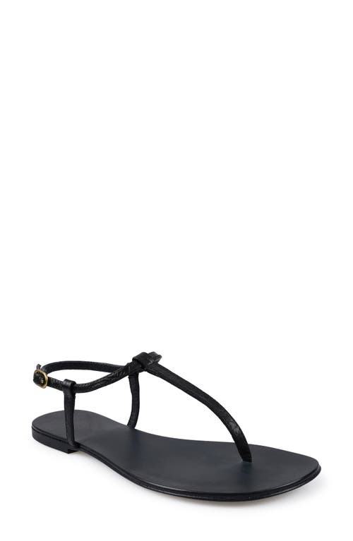 Artisan Crafted By Zigi Ankle Strap Sandal In Black