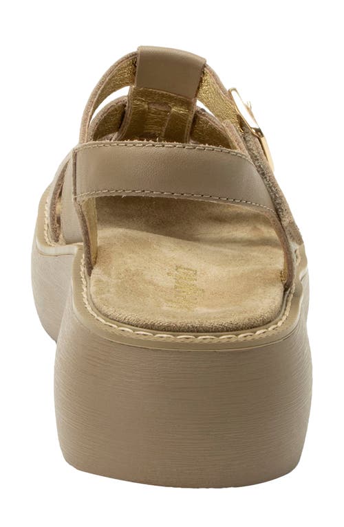 Alegria By Pg Lite Ingrid Fisherman Sandal