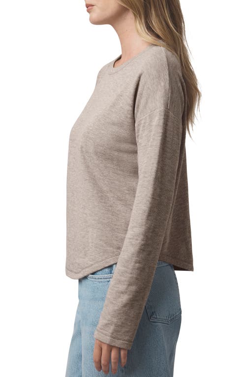 Splendid Callista Long Sleeve T-shirt In Brown