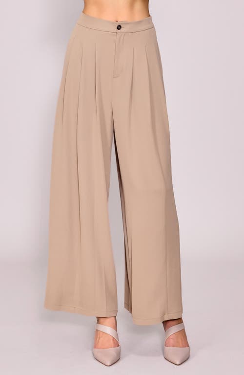 Melloday Pleated Crepe Wide Leg Pants In Brown