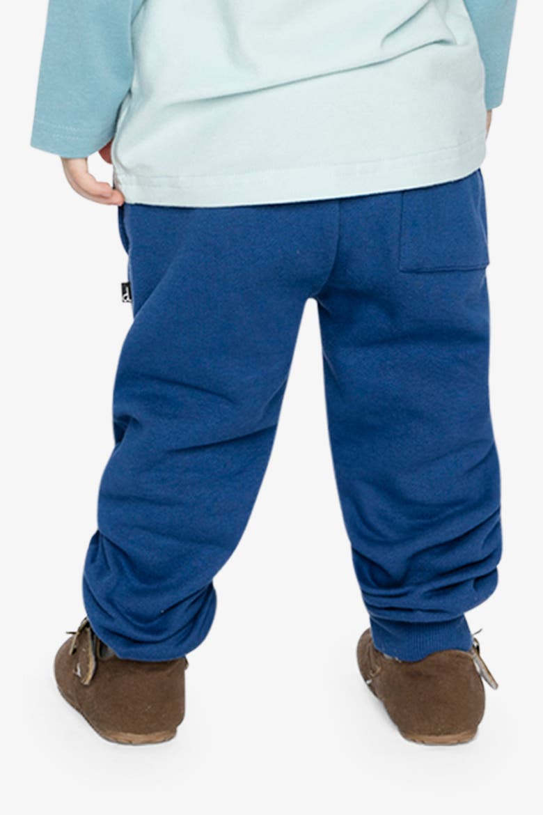 Fleece Drawstring Waist Ribbed Cuff Sweatpants, Alternate, color, Blue