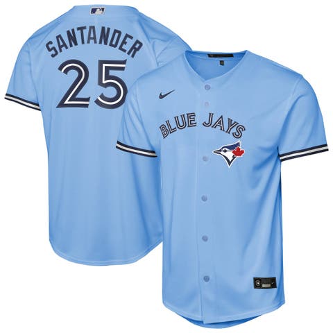 Youth Nike Anthony Santander Powder Blue Toronto Blue Jays Alternate Replica Jersey