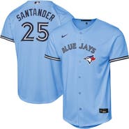 Nike Youth Nike Anthony Santander Powder Blue Toronto Blue Jays Alternate Replica Jersey