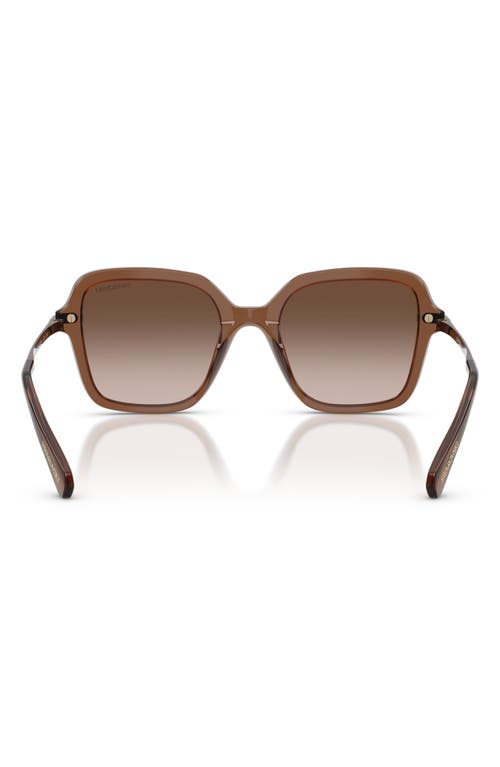 Swarovski 50mm Small Irregular Sunglasses In Brown