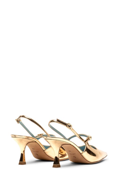 Frances Valentine Vivi Pointed Toe Slingback Pump In Gold