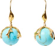 Chan Luu Turquoise Lark Drop Earrings