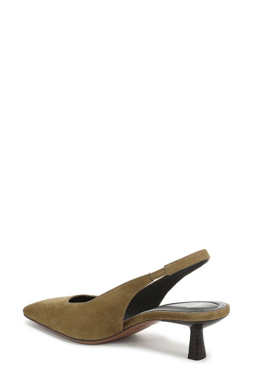 Sarto By Franco Sarto Raven Slingback Kitten Heel Pump In Green