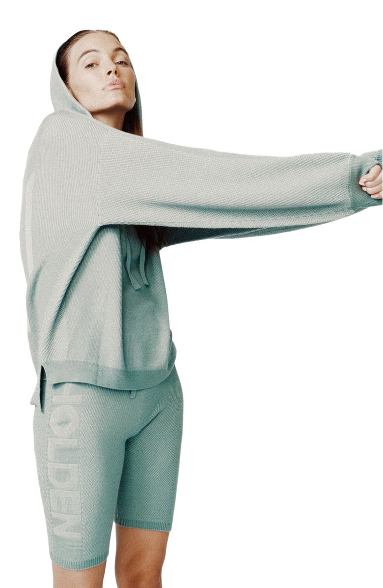 Holden Outerwear Icon Hoodie, Main, color, Sage