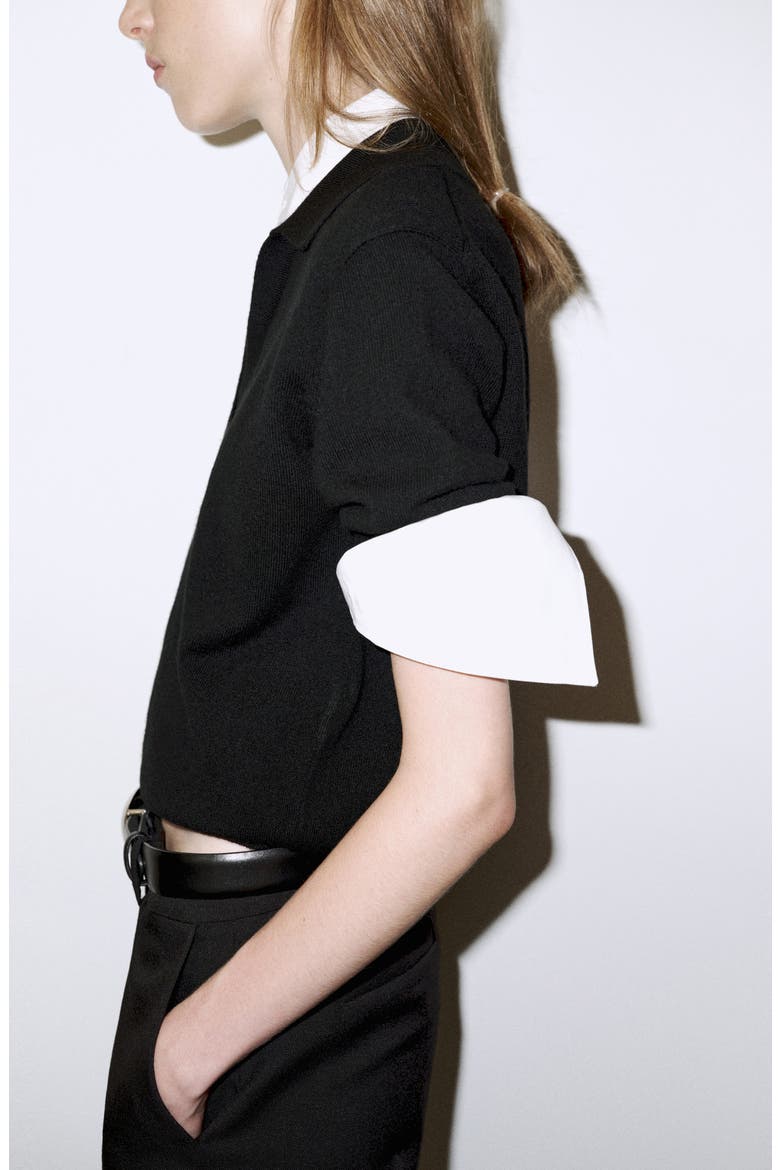 Polo Collar Wool Sweater, Alternate, color, BLACK