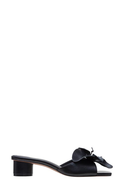 Linea Paolo Idalia Block Heel Sandal In Black