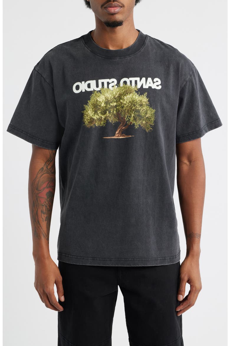 Olive Tree Graphic T-Shirt, Main, color, VINTAGE BLACK