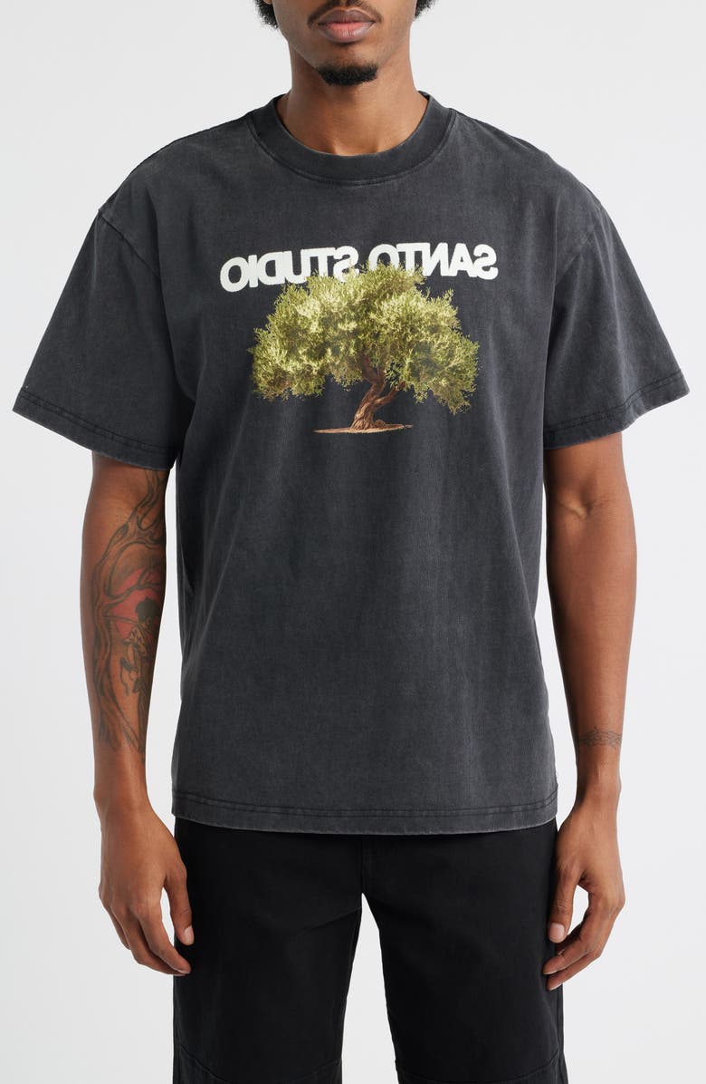 SANTO STUDIO Olive Tree Graphic T-Shirt, Main, color, Vintage Black
