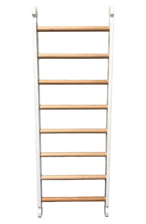 Climbing Ladder
