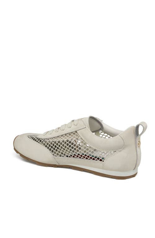Jslides Footwear Penny Sneaker In Off White
