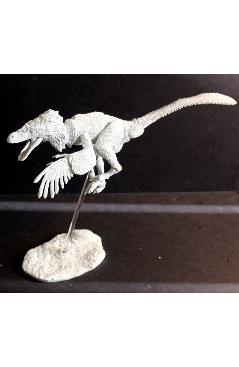 Beasts of the Mesozoic Power Grid Quebec/Baden-Wurttemberg, Alternate, color, Multicolored