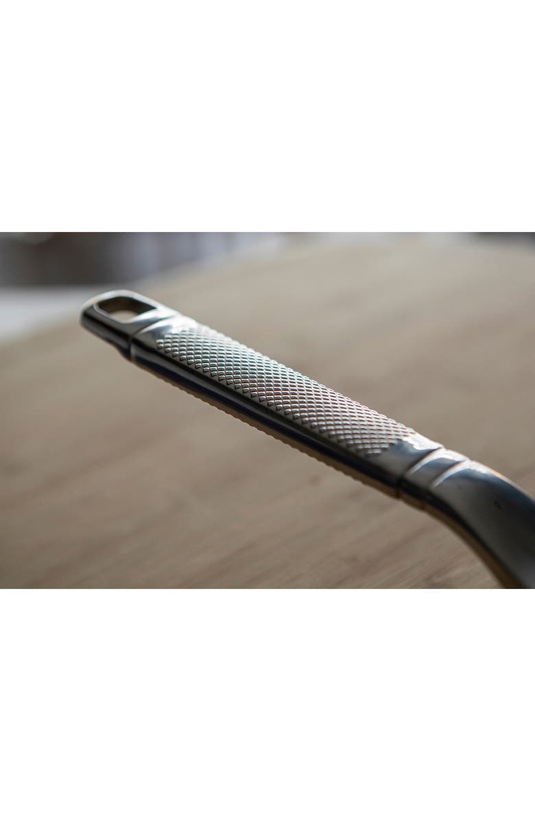 SAVEUR Selects 10" Open Fry Pan, Alternate, color, Stainless Steel