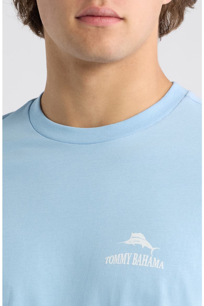 A Little Hair of the Dog Graphic T-shirt, Alternate, color, SEABANK SKY