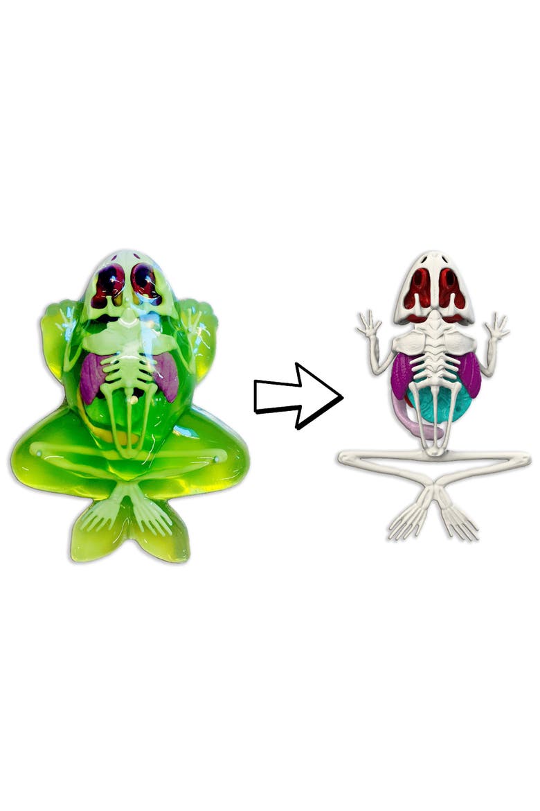 Dissect it Frog Lab, Science Kit, Ages 6+, Alternate, color, Multicolored