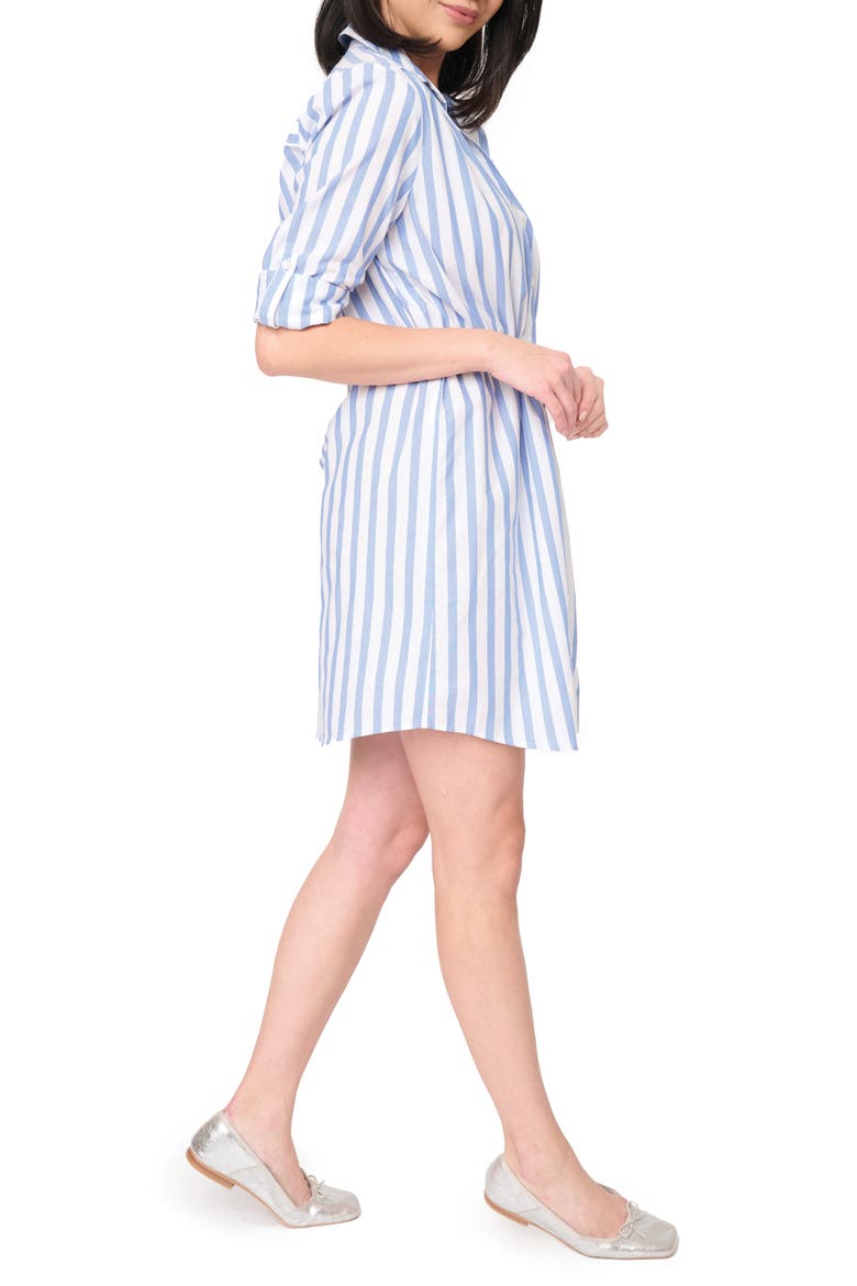 Long Sleeve Stripe Shirtdress, Alternate, color, SKY BLUE WHITE STRIPE