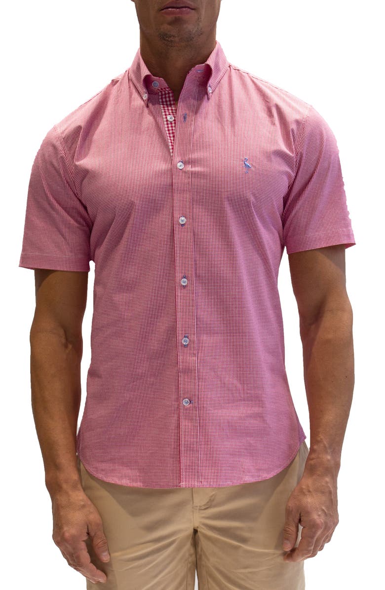 TailorByrd Micro Gingham Stretch Cotton Short Sleeve Button-Down Shirt, Main, color, Fuchsia