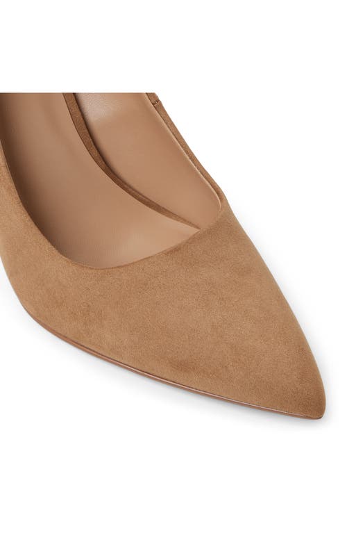 Call It Spring By Aldo Leeona Pointed Toe Pump In Brown