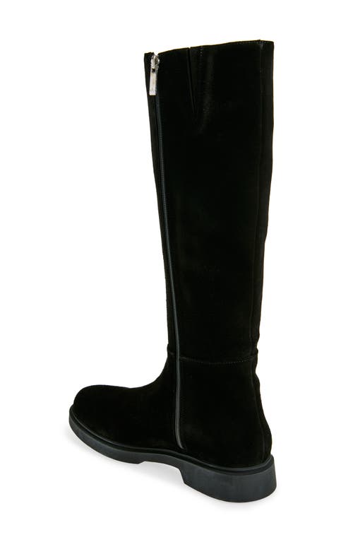 AQUATALIA AQUATALIA HALENA WEATHERPROOF TALL BOOT
