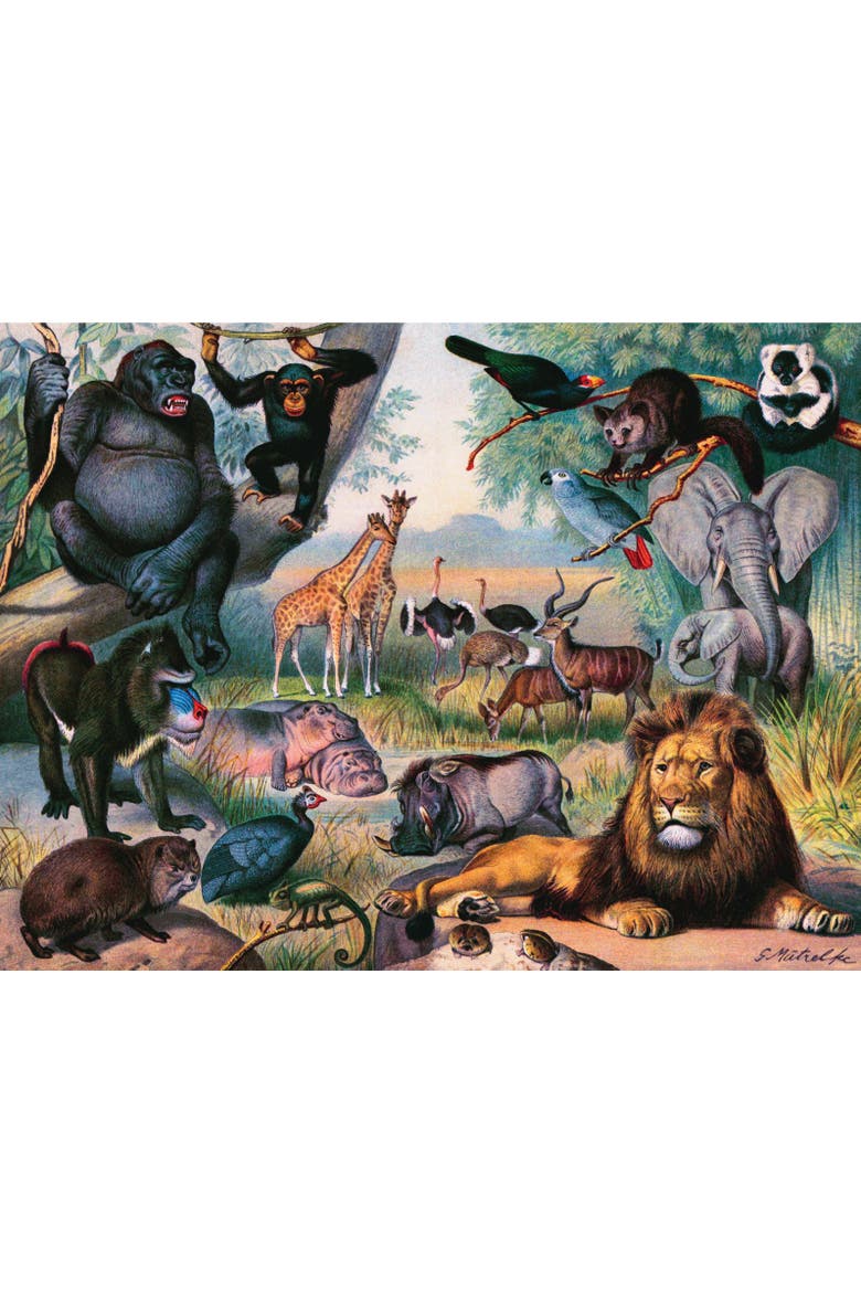 Animals of Africa 1000 Piece Puzzle, Alternate, color, No Color