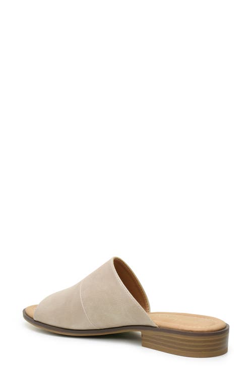 CATHERINE CATHERINE MALANDRINO CATHERINE CATHERINE MALANDRINO DANIELLE SLIDE SANDAL