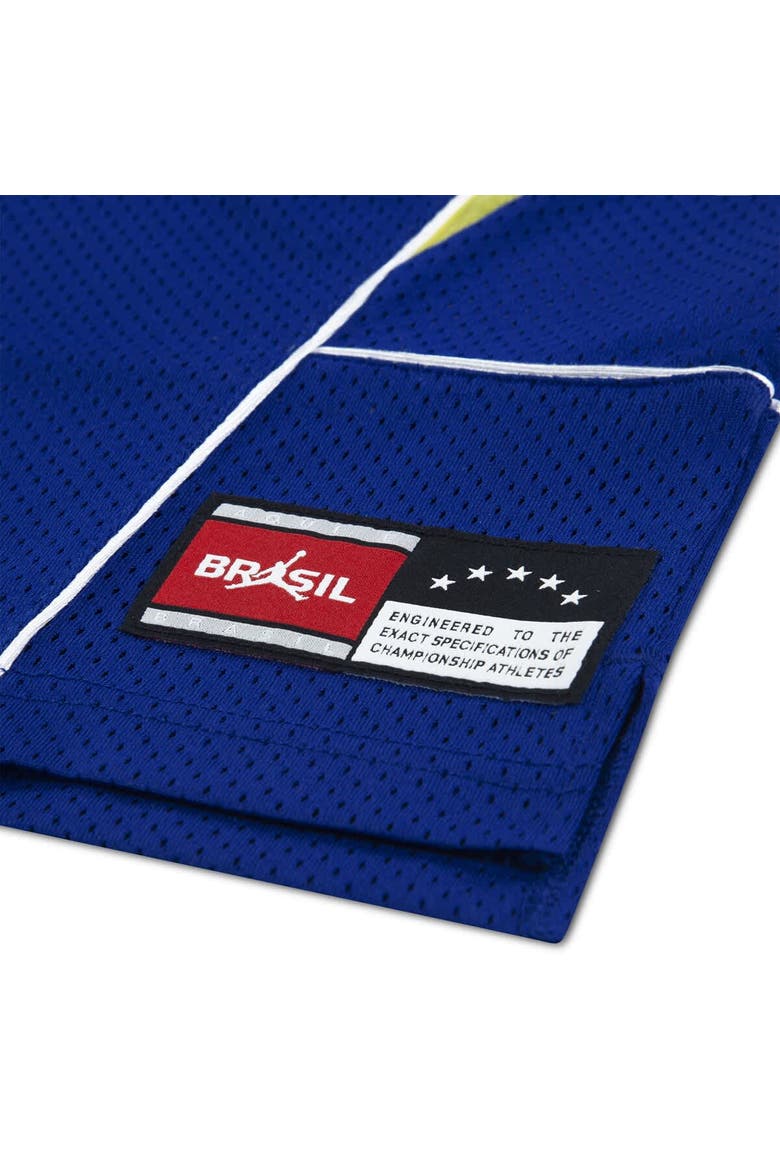 Youth Jordan Brand Royal Brazil National Team Mesh Basketball Fashion Jersey, Alternate, color, Royal